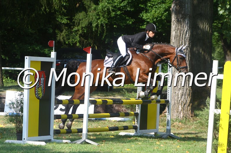 308M9552_Fontana Bilio_Spring_A.JPG